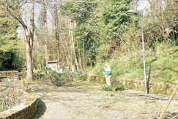 «Il Parco dei Camaldoli va restituito alla città»