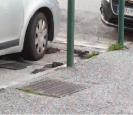 “Assembramenti” di topi in strada, l’allarme dei residenti di Pianura