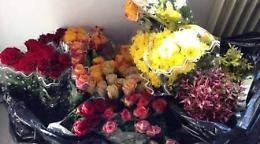 San Valentino, controlli a Napoli contro fiorai abusivi