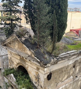 Degrado al cimitero di Poggioreale, alberi sul tetto di una cappella