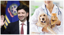 Cani e gatti possono essere curati con farmaci ad uso umano, Speranza firma il decreto 
