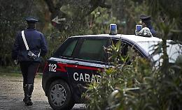 Resti umani trovati in un bosco dai cercatori di asparagi