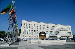 Sudan, Farnesina: scarcerato Marco Zennaro