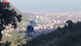 Monti Lattari, sequestrate 500 piante di cannabis