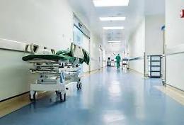Formiche sul cadavere di una donna all'obitorio dell'ospedale