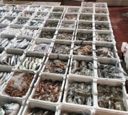 Pesce congelato venduto come fresco: sequestro e denunce