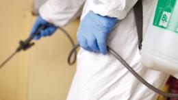 Scuole, Green Pass, Marrone: sanificazione professionale necessaria per la sicurezza delle scuole