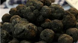 Napoli: tartufo in vendita a 2.000 euro, ma ne valeva 300
