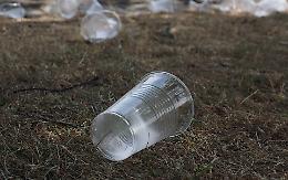 Ischia plastic free, al bando i monouso: multe fino a 500 euro