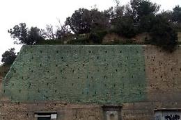Salvata la colonia di taccole “imbrigliata" in via Coroglio