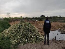 Rifiuti sversati in un fondo agricolo, sequestro ad Acerra