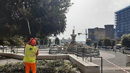 Napoli, in corso interventi di potatura alberi