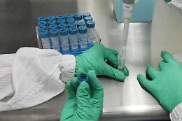 Vaccino Covid, AstraZeneca: «Costerà pochi euro, lo stiamo producendo»
