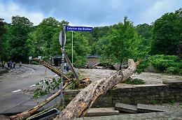 Piogge torrenziali in Germania, 20 morti e decine di dispersi