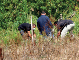 Caivano, resti umani in un campo al Parco Verde