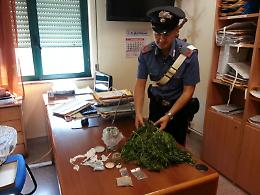 Sant'Antonio Abate, trovata marijuana congelata in casa