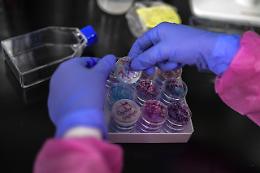 Coronavirus, 56 nuovi casi in Irpinia: 16 a Mirabella Eclano