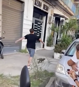 Dà un calcio a un gatto e pubblica video sui social
