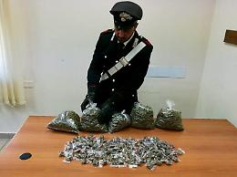 In casa oltre 700 grammi di marijuana: arrestati padre e figlio