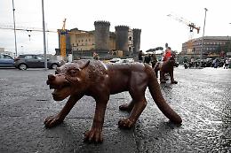 Napoli, tempo da lupi