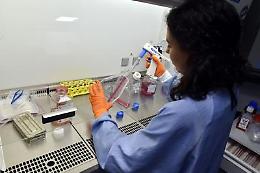 Terapia anti-cancro tutta italiana