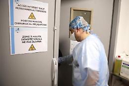 Covid, Oms: crollo casi e morti dimezzate nell'ultimo mese