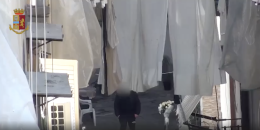 Quartieri Spagnoli, arrestati madre e figli pusher