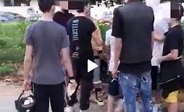 Ragazzino pestato in pineta, 5 denunciati: hanno tra i 14 e i 17 anni