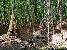 Nel “bosco primitivo” del Monte Faito, ci si arriva su strade dissestate