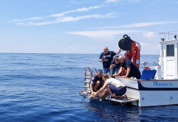 Quattro tartarughe liberate al largo di Ischia