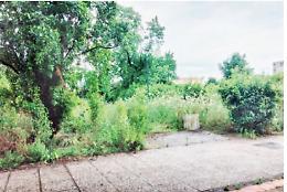 Il parco Troisi di San Giovanni a Teduccio nel degrado: rischio sanitario