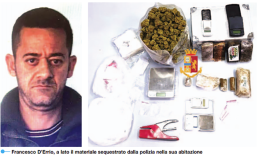 Un pitbull a guardia della droga nella cassaforte, preso pusher