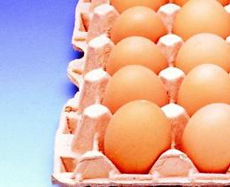 Fipronil, scattano i controlli sul pollo