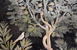 Scavi di Pompei, porte aperte ai visitatori alla Casa del Frutteto