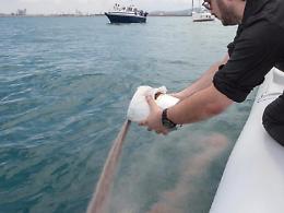 Un'urna di sabbia per disperdere le ceneri in mare