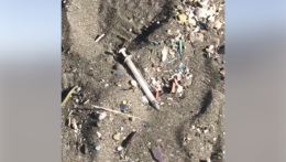 Lido Mappatella, siringhe in spiaggia: l'allarme dei Verdi