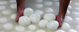 Cnr Napoli, test per scovare latte straniero nella mozzarella di bufala