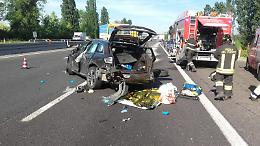 Inferno in autostrada, capriolo sfonda il parabrezza: la donna al volante è in fin di vita