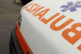 Azzannata dai pitbull, muore bimba a Brescia: grave il nonno