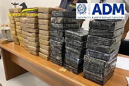 Napoli, sequestrati 88 chili di cocaina al porto