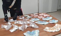 Rottweiler a guardia della droga, 27enne arrestato
