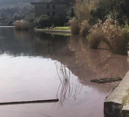 Il lago d'Averno cambia colore: «forse alga, chiesta verifica ad Arpac»
