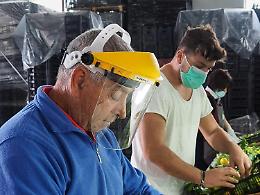 Il nuovo trend per rendere felici i dipendenti è la "Green Work Culture"
