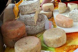 Prodotti lattiero caseari alterati, sequestrati 3 quintali nel Beneventano