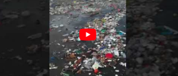 Maltempo, la spiaggia del Lungomare diventa una distesa di plastica
