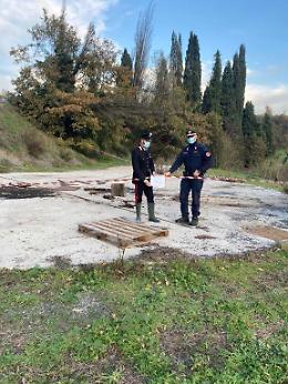 Smaltimento illecito, sequestrato scarico reflui di un frantoio