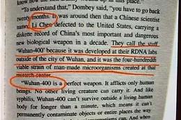 «Virus letale da Wuhan», il libro “profezia" del 1981