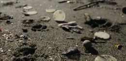 Mare invaso dalla plastica, Borrelli: chiesto l'intervento dell'Arpac