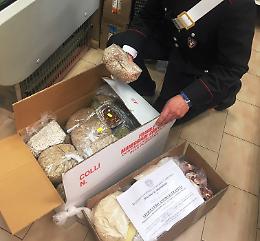 Sequestrati e distrutti oltre 100 chili di cibo non tracciabile