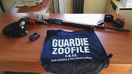 Casamicciola e Forio, controlli anti-bracconaggio